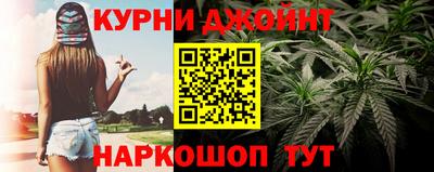 прущие грибы Можга