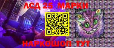 прущие грибы Можга