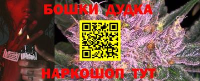 прущие грибы Можга