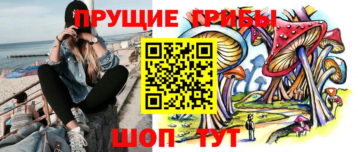 Галлюциногенные грибы Psilocybe  купить закладку  Хабаровск  Псилоцибиновые грибы Psilocybine cubensis  Вход с VPN 