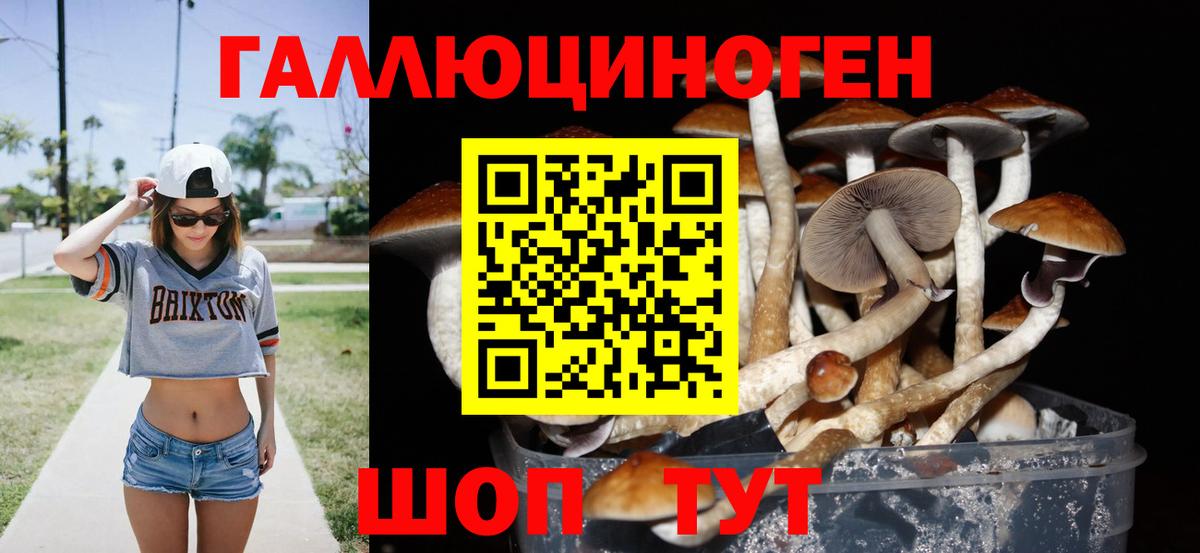 Галлюциногенные грибы MAGIC MUSHROOMS Хабаровск